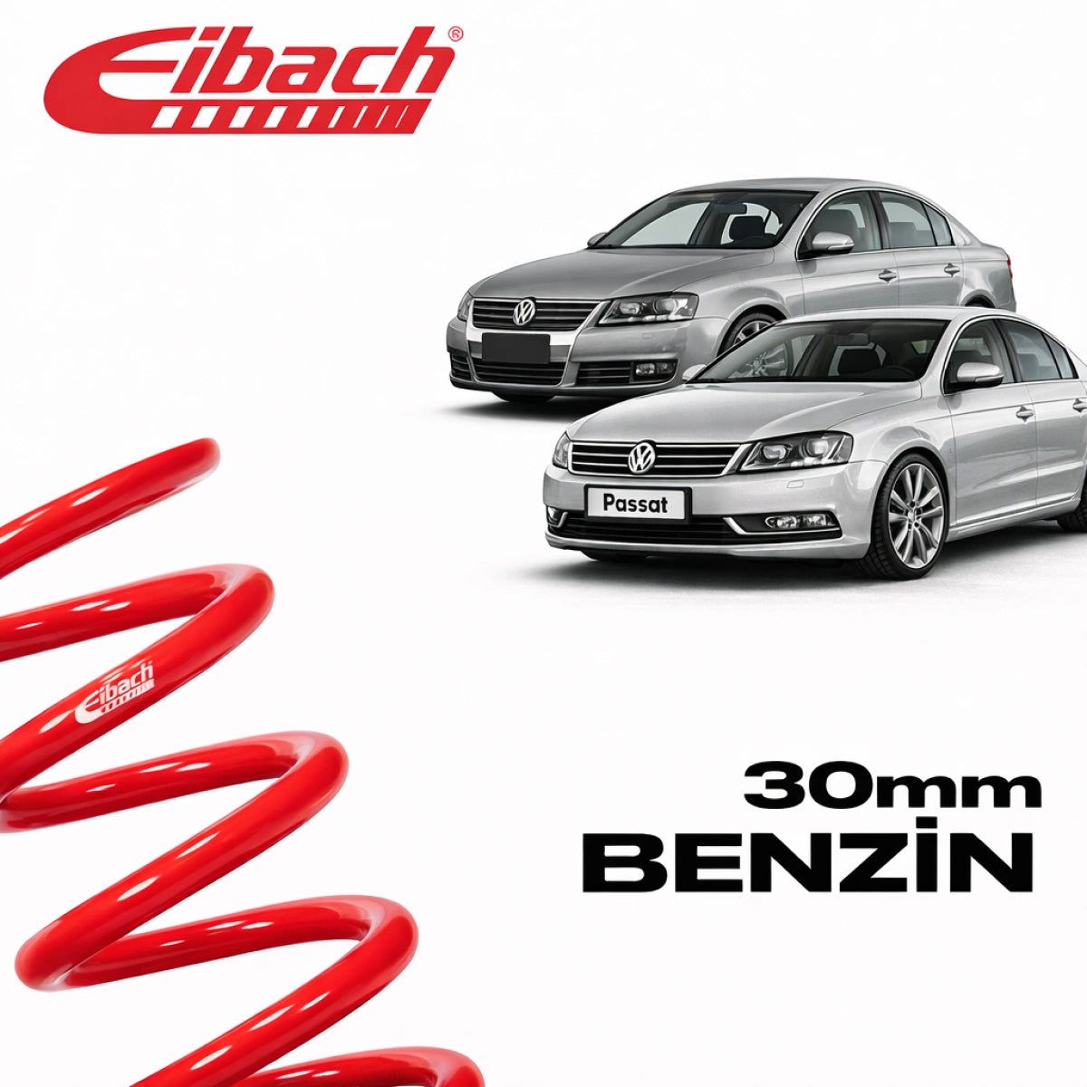Muelles Deportivos Eibach Volkswagen Passat B6 - B7 Pro-Kit (30 mm) - Eibach