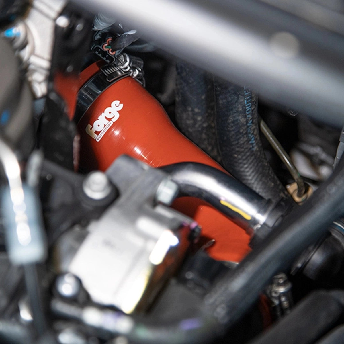 Forge Motorsport Muffler Delete Hyundai i20N - Forge Motorsport